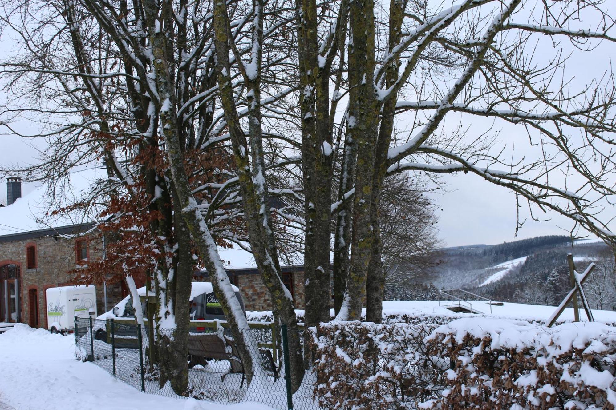 Chanteloup, Maison D'Hotes - Halleux Halleux  Exteriör bild